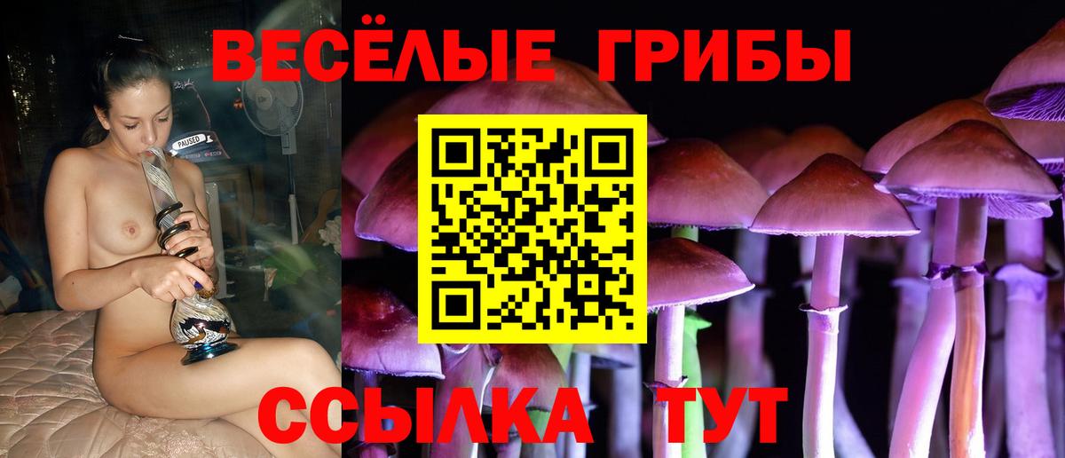 Псилоцибиновые грибы GOLDEN TEACHER Всеволожск